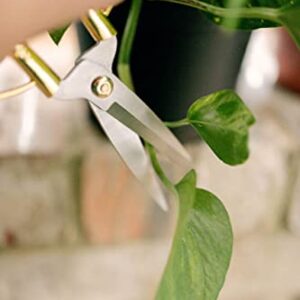 Premium Houseplant Scissors and Pruning Shears - Comfortable Grip Garden and Plant Clippers, Trimmers, Loppers, Flower Cutters, Made from 100% Stainless Steel