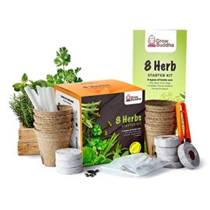 grow buddha herb seeds variety pack, your own gardening kit – easily grow your own herb garden with our complete beginner friendly herb seeds starter kit – unique gift idea (8 herbs kit)