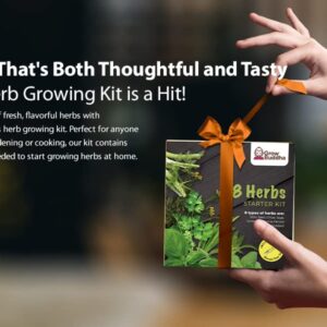 Grow Buddha herb Seeds Variety Pack, Your Own Gardening Kit – Easily Grow Your own herb Garden with Our Complete Beginner Friendly herb Seeds Starter Kit – Unique Gift Idea (8 Herbs Kit)