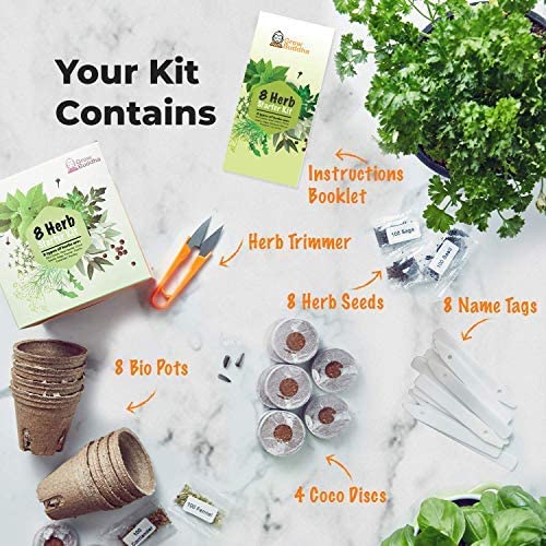 Grow Buddha herb Seeds Variety Pack, Your Own Gardening Kit – Easily Grow Your own herb Garden with Our Complete Beginner Friendly herb Seeds Starter Kit – Unique Gift Idea (8 Herbs Kit)