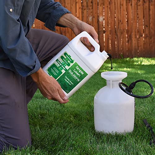 Simple Lawn Solutions - Liquid Iron Fertilizer Darker Green - Chelated Micronutrients - Concentrated Spray Booster for Turf Grass, Indoor Plants and Outdoor Garden (1 Gallon)