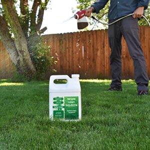 Simple Lawn Solutions - Liquid Iron Fertilizer Darker Green - Chelated Micronutrients - Concentrated Spray Booster for Turf Grass, Indoor Plants and Outdoor Garden (1 Gallon)