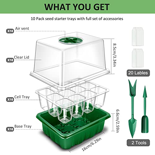 YAUNGEL Seed Starter Tray, 10 Pack 120 Cells Thicken Seed Starting Trays Kit with Humidity Dome/Heightened Lids Growing Trays for Greenhouse & Gardens, Green