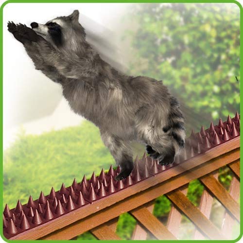 DE-BIRD: Defender Spikes, Cat and Bird Deterrent - Outdoor Pest Defender to Keep Off Pigeon, Squirrel, Woodpecker & More. Plastic Deterrent Anti Theft Climb Strips - 20pk [20 Foot]