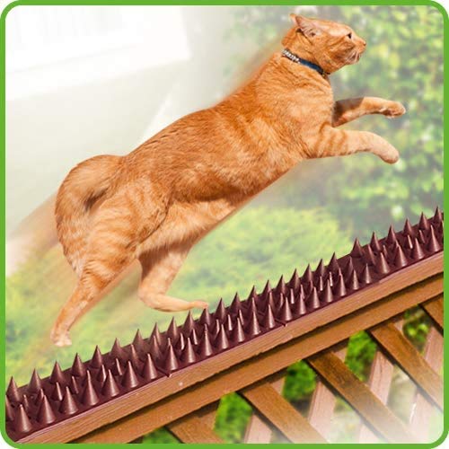 DE-BIRD: Defender Spikes, Cat and Bird Deterrent - Outdoor Pest Defender to Keep Off Pigeon, Squirrel, Woodpecker & More. Plastic Deterrent Anti Theft Climb Strips - 20pk [20 Foot]