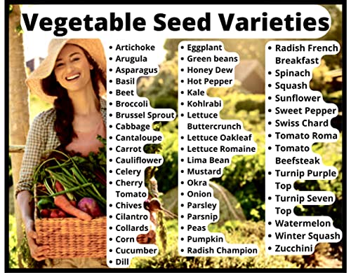 50 Vegetable & Fruit Seeds for Planting Your Outdoor & Indoor Home Seed Garden, Survival Gear Kit Includes 50,000 Seeds A Growing Guide & Mylar Package Gardening Heirloom Non-GMO Veggie Seed B&KM Farm