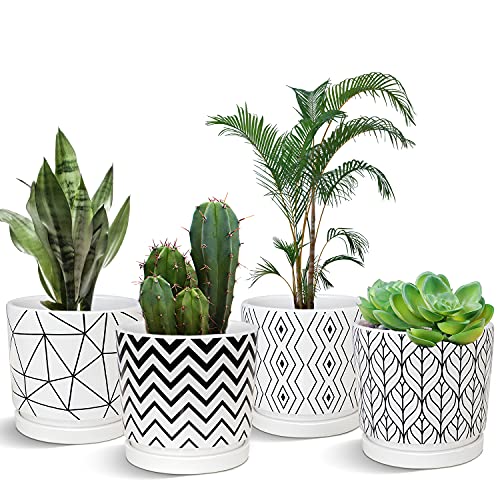 Ton Sin Plant Pots,5.5 Inch White Pots for Indoor Plants with Drainage Holes,Cylinder Flower Pot Ceramic Planters with Saucer,Cactus Succulent Outdoor Garden Pots Set of 4