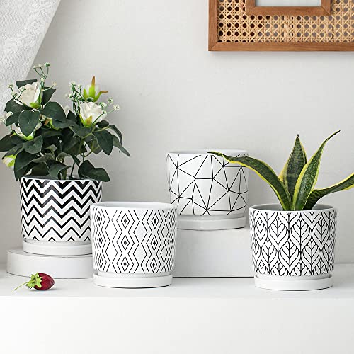 Ton Sin Plant Pots,5.5 Inch White Pots for Indoor Plants with Drainage Holes,Cylinder Flower Pot Ceramic Planters with Saucer,Cactus Succulent Outdoor Garden Pots Set of 4