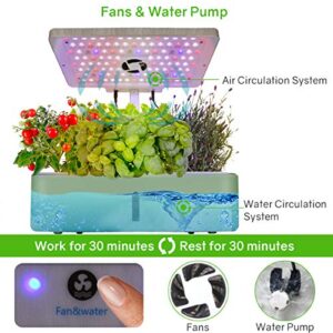 moistenland Indoor Hydroponic Garden, Hydroponics Growing System, Indoor Herb Garden Starter Kit with LED Grow Light, Inside Garden Growing System,Automatic Timer Plant Germination Kits (12 Pods)