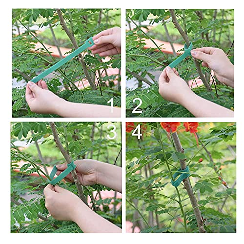 Garden Hook＆Loop Plant Cable Ties, Adjustable Garden Nylon Ties for Supporting Plant and Vines, Multi-functional Garden Ties(50 Pcs, 8 Inch, Green)