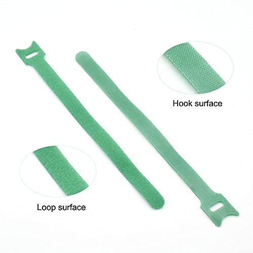 Garden Hook＆Loop Plant Cable Ties, Adjustable Garden Nylon Ties for Supporting Plant and Vines, Multi-functional Garden Ties(50 Pcs, 8 Inch, Green)