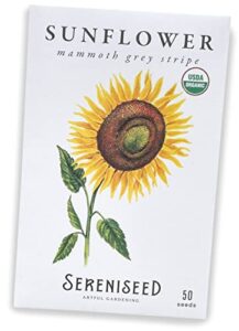 sereniseed certified organic mammoth grey stripe sunflower seeds (50 seeds) – 100% non gmo, open pollinated – guide for indoor & outdoor garden planting