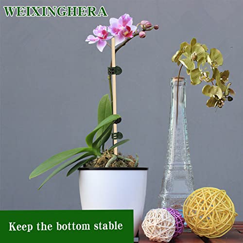 Weixinghera Orchid Clips Plastic Garden Plant Clips Set, 160 Pack Orchid Clips with 20 Pieces Plant Support Stakes 8 Mounting Base 4 Stand