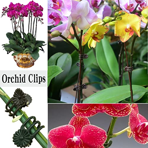 Weixinghera Orchid Clips Plastic Garden Plant Clips Set, 160 Pack Orchid Clips with 20 Pieces Plant Support Stakes 8 Mounting Base 4 Stand