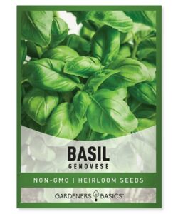 genovese basil seeds for planting heirloom non-gmo herb plant seeds for home herb garden makes a great gift for gardening by gardeners basics