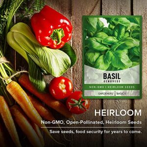 Genovese Basil Seeds for Planting Heirloom Non-GMO Herb Plant Seeds for Home Herb Garden Makes a Great Gift for Gardening by Gardeners Basics