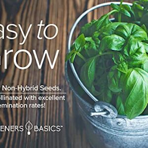 Genovese Basil Seeds for Planting Heirloom Non-GMO Herb Plant Seeds for Home Herb Garden Makes a Great Gift for Gardening by Gardeners Basics