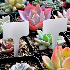 100 Pcs Plastic Plant Labels Reusable T-Shape Tags with Waterproof Markers Garden Plants Labels 2.36" x 3.94"