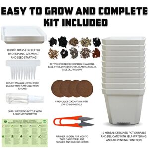 Herb Grow Kit, 10 Herb Seeds Garden Starter Kit, Complete Potted Plant Growing Set Including White Pots, Markers, Nutritional Soil, Watering, Herb Clipper for Kitchen Herb Garden DIY