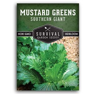survival garden seeds – southern giant mustard greens seed for planting – packet with instructions to grow spicy brassica juncea leaves in your home vegetable garden – non-gmo heirloom variety