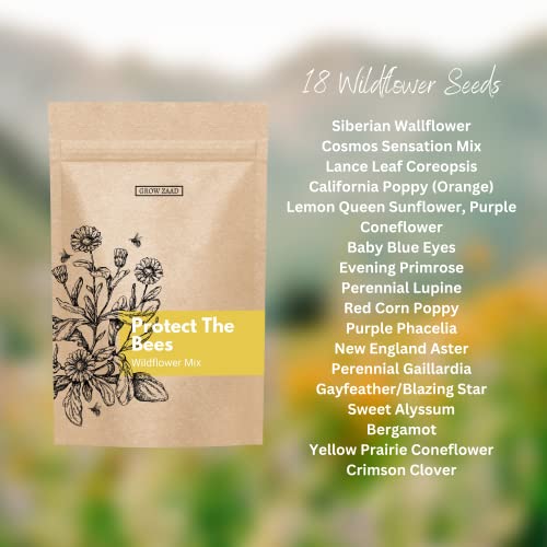 Honey Bee Wildflower Pollinator Mix - 65,000+ Seeds Perennial & Annual Flowers - Planting Outdoors to Save The Bees - California Poppy, Primrose, Bergamot & More