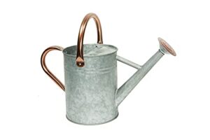 metal watering can, one gallon watering cans stainless steel handle for outdoor indoor garden plants watering (1 gallon silvers)