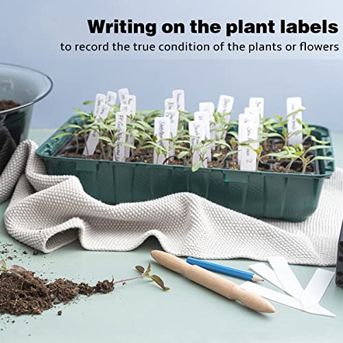 Plant Labels 300Pcs 4 Inch Plastic Plant Name Tags for Seedlings Garden Labels Markers Nursery Plant Tags Seed Labels Plant Label Stakes with Permanet Marking Pen Plant Markers for Outdoor Garden