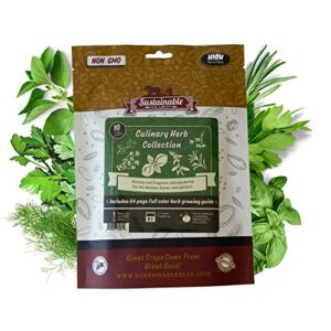 culinary herb seeds variety pack – outdoor & indoor herb garden kit – 10 non-gmo herb garden seeds for planting & book – basil seeds, dill seeds, rosemary seeds, thyme seeds, & more