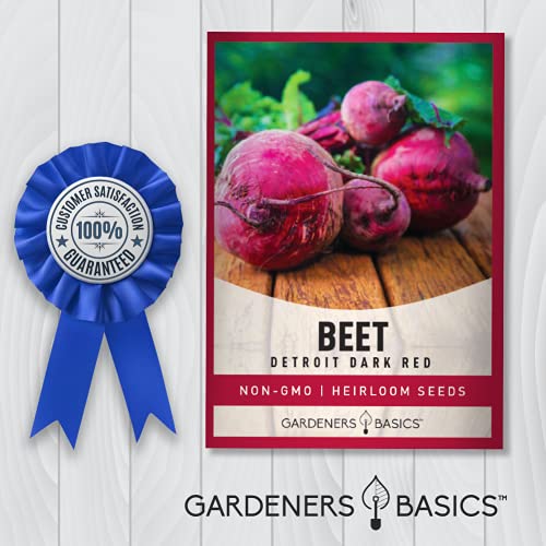 Beet Seeds for Planting Detroit Dark Red 100 Heirloom Non-GMO Beets Plant Seeds for Home Garden Vegetables Makes a Great Gift for Gardeners by Gardeners Basics