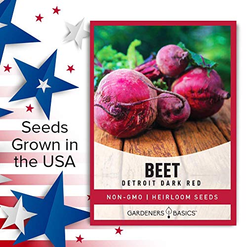 Beet Seeds for Planting Detroit Dark Red 100 Heirloom Non-GMO Beets Plant Seeds for Home Garden Vegetables Makes a Great Gift for Gardeners by Gardeners Basics