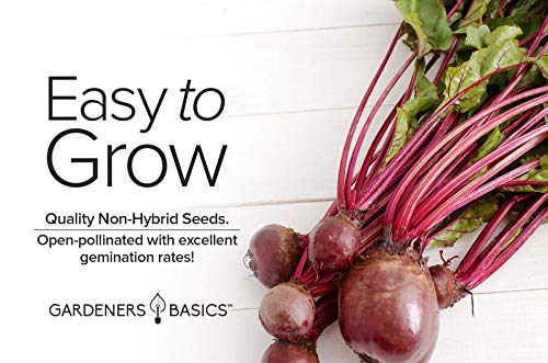 Beet Seeds for Planting Detroit Dark Red 100 Heirloom Non-GMO Beets Plant Seeds for Home Garden Vegetables Makes a Great Gift for Gardeners by Gardeners Basics