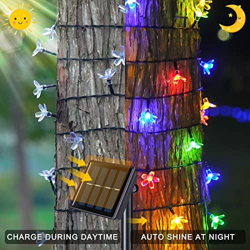 JMEXSUSS 2 Pack Flower Solar String Lights, Each 30.6FT 50LED Solar Lights Outdoor Waterproof, Cherry Blossoms Solar Fairy Lights Decorations for Garden Yard Patio Christmas Tree Party Decoration