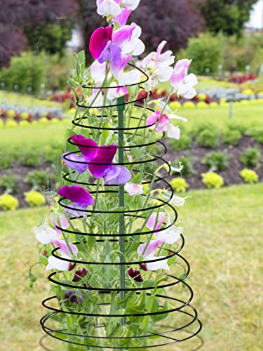 Pea Trellis Green Bean Trellis for Garden - 2 Pack Sugar Snap Tower Stretchable to 53.6 in, Metal Climbing Plant Growing Cage Support for Cucumber Vine Indoor Outdoor (Stick Not Include)