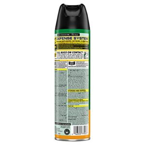 Raid House & Garden Insect Killer Spray, for Listed Ant, Roach, Spider, for Indoor & Outdoor Use, Orange Scent (11 Ounce (Pack of 1)