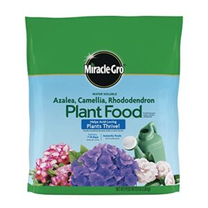 miracle-gro water soluble azalea, camellia, rhododendron plant food – fertilizer for acid-loving plants & flowers, 5 lb.