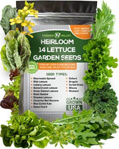 lettuce & salad garden seeds for planting – 6400+ non gmo usa grown vegetable seeds for home growing – heirloom greens seeds good for hydroponic, indoor and outdoor