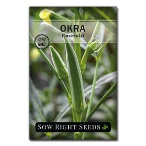 sow right seeds – emerald okra seed for planting – non-gmo heirloom packet with instructions to plant a home vegetable garden – great gardening gift (1)