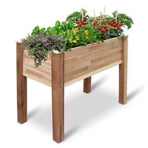 jumbl raised canadian cedar garden bed | elevated wood planter for growing fresh herbs, vegetables, flowers, succulents & other plants at home | great for outdoor patio, deck, balcony | 34x18x30”