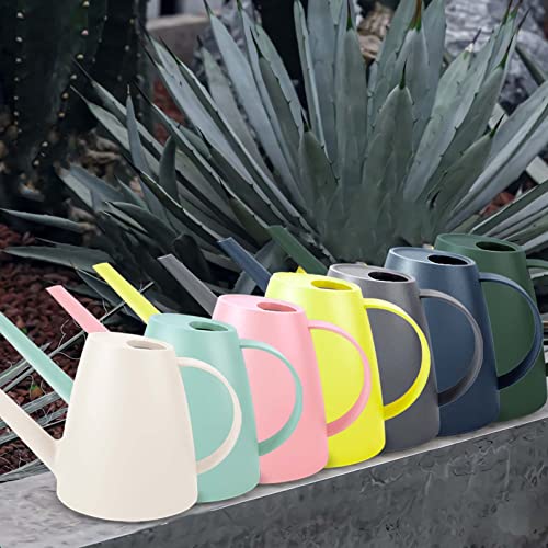 Watering Can for Indoor Outdoor Plants, Modern Small Watering Cans with Removable Nozzle, Long Spout Watering Can for Indoor Bonsai Plants Garden Flowers 1/2 Gallon 1.8L 60OZ