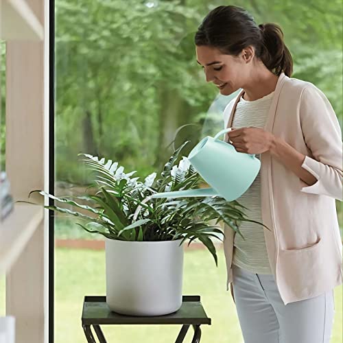 Watering Can for Indoor Outdoor Plants, Modern Small Watering Cans with Removable Nozzle, Long Spout Watering Can for Indoor Bonsai Plants Garden Flowers 1/2 Gallon 1.8L 60OZ