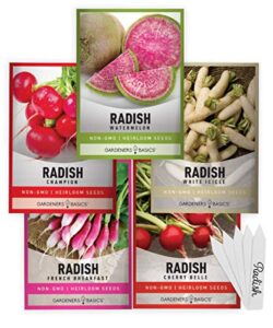 radish seeds for planting 5 individual packets – watermelon, french breakfast, champion, cherry belle, white icicle for your non gmo heirloom vegetable garden by gardeners basics