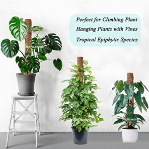 Moss Pole for Plants Monstera, 47inch Moss Poles for Climbing Plants 2 Pcs 17” and 2 Pcs 14” Monstera Pole Stackable Plant Pole Coco Coir Pole with Garden Ties