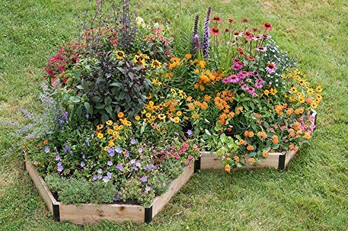 Monarch Butterfly Garden Kit -28 Species of Perennial Milkweed and Wildflower Seeds - If You Grow it Monarchs Will Come - Kids STEM Project - Create a Beautiful Garden Full of Butterflies