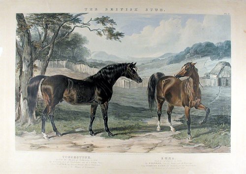 Touchstone Bred by the Marquis of Westminster, in 1831. Emma. Bred by Mr. Russell, in 1824.