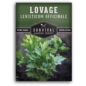 survival garden seeds – lovage seed for planting – packet with instructions to plant and grow perennial levisticum officinale culinary herb in your home vegetable garden – non-gmo heirloom variety