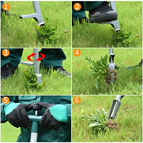 PERSZEN Weed Puller, Stand Up Weeder Manual Weeding Tool, Long Handle Gardening Weed Puller Tool for Dandelion, Twist Hand Weeder with 2 Stainless Steel Claws Grabber