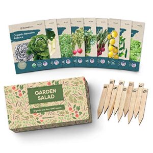 certified organic vegetable seeds – 9 heirloom seeds for planting vegetables – seed packets & gift box – cherry tomato, romaine lettuce, broccoli, cucumber, radish, sugar snap pea, arugula, basil