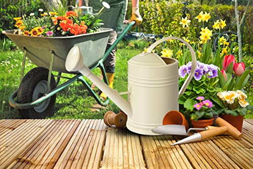 Watering Can for Indoor Plants, Flower Watering Can Outdoor for House Plants Garden Flower, Small Watering Can Indoor Long Spout with Sprinkler Head (1/2 Gallon, Ivory)