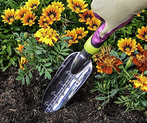 Edward Tools Transplanter Trowel - Bend Proof and Rust Proof Aluminum - Most Comfortable Transplanter with Ergo Handle - Engraved Depth Guide