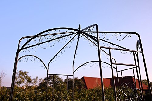 1. GO Steel Garden Arch, 8' High x 5'2" Wide, Garden Arbor for Various Climbing Plant, Outdoor Garden Lawn Backyard Gazebo